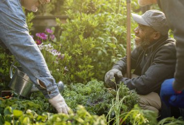  insanlar üzerinde arka bahçe 