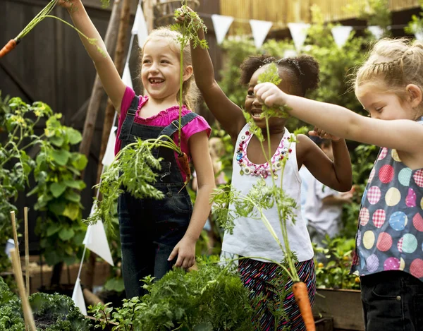 Děti učí prostředí na zeleninové farmě — Stock fotografie