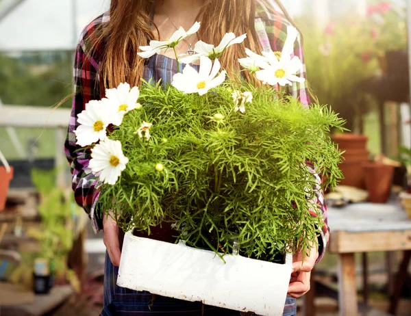 Mulher segurando caixa de madeira com flores — Fotografia de Stock
