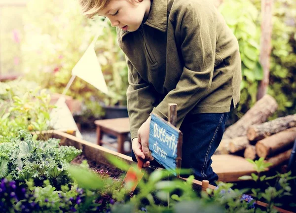 Pojke Trädgårdsskötsel på bakgården — Stockfoto