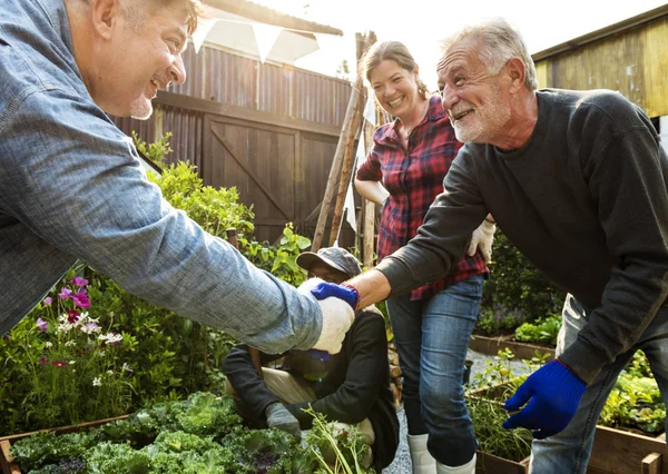 Люди садівництво на подвір'ї разом — стокове фото