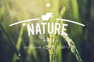 Alternatif tarım sürdürülebilir doğa kavramı, özgün photoset