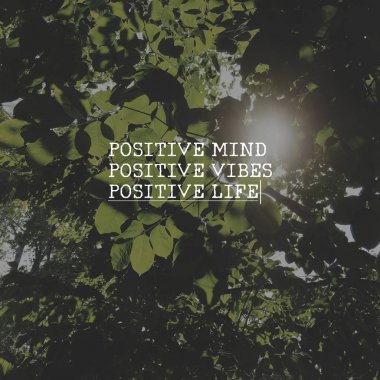 yeşil ağaç yaprakları