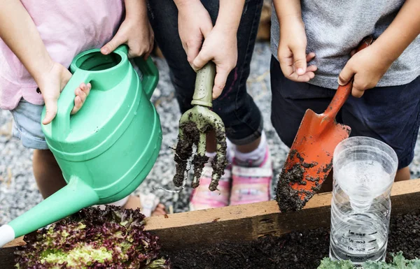 Kinder arbeiten im Garten — Stockfoto
