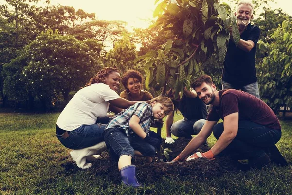 Pessoas plantando árvore juntos — Fotografia de Stock