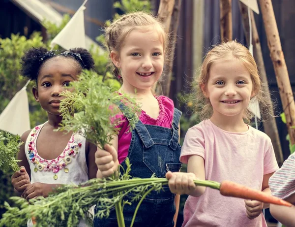 Barn lärande miljö på vegetabiliska gård — Stockfoto