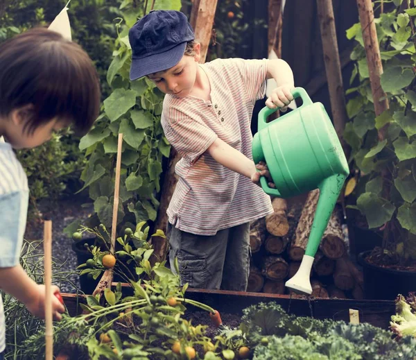 Bahçede çalışan çocuklar — Stok fotoğraf
