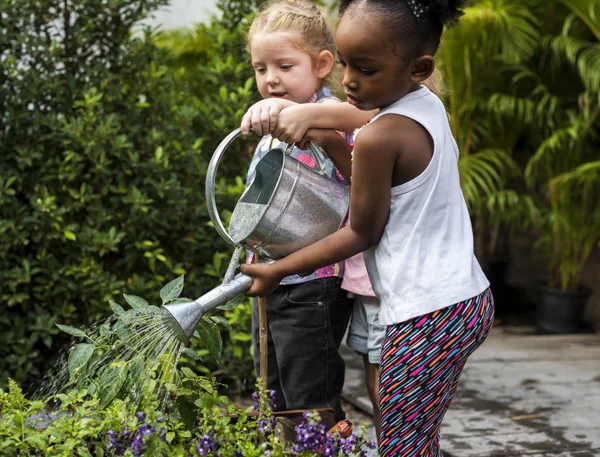 Kinder gießen die Pflanzen — Stockfoto