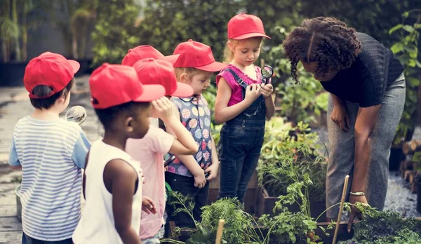 Lehrer und Kinder lernen ökologische Gartenarbeit — Stockfoto