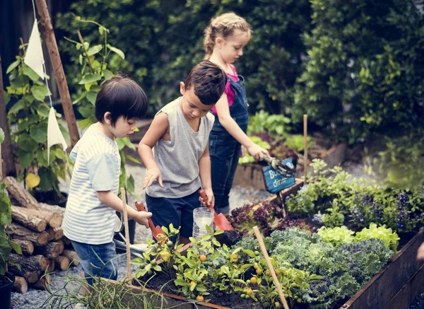 Kinder lernen Gartenarbeit im Freien — Stockfoto