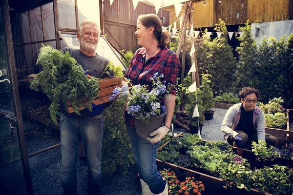 Persone che piantano verdure — Foto Stock