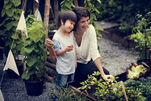 Environnement d'apprentissage pour les enfants et les enseignants — Photo