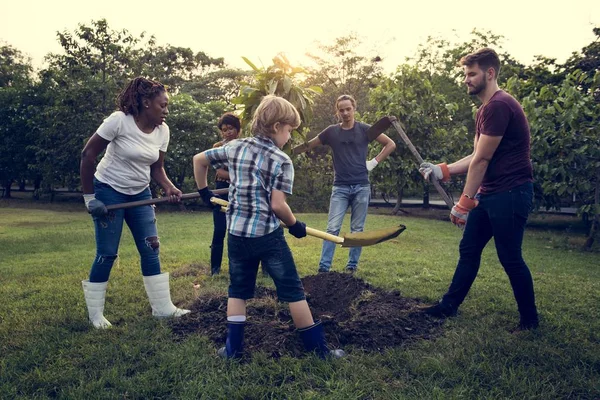 Pessoas cavando buraco plantando árvore — Fotografia de Stock