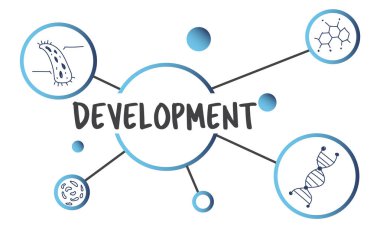 tasarım şablonu sayfa