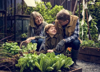 Aile malzeme çekme sebze
