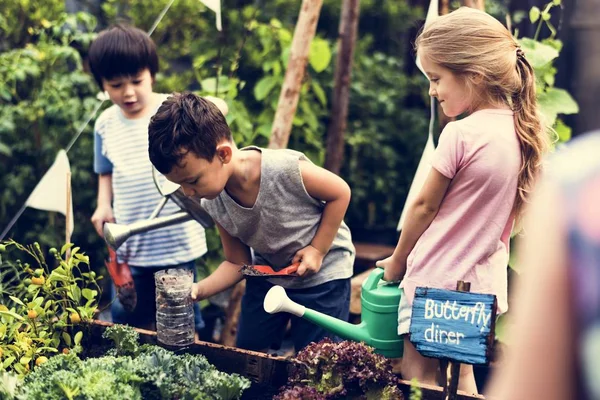 Děti v zahradě prožitky z přírody — Stock fotografie