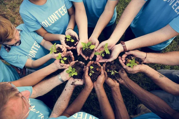 Tutela ambientale persone mani piantagione — Foto Stock