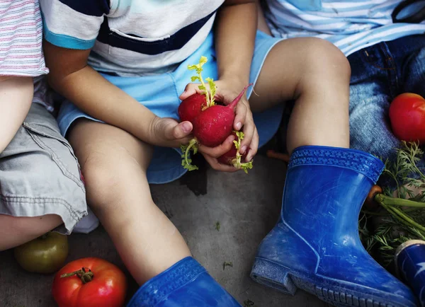 Barn innehav grönsaker — Stockfoto