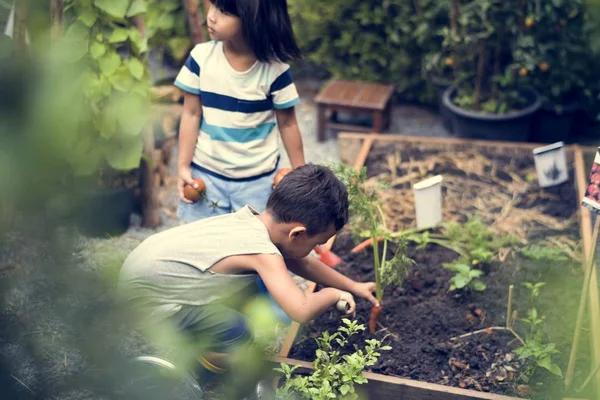 Anak berkebun di luar — Stok Foto