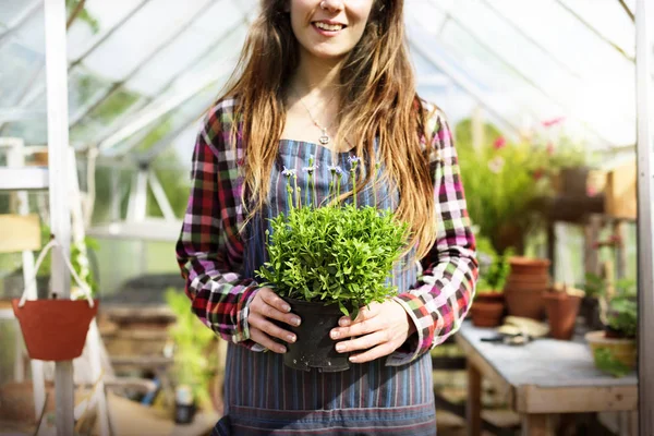 植物と鍋を持っている女性 — ストック写真