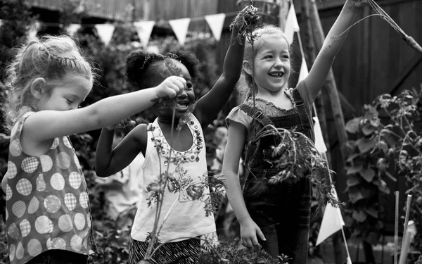 Kinder lernen auf Gemüsebauernhof — Stockfoto