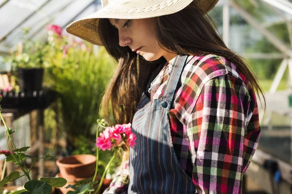 Frau im Gewächshaus mit Pflanze im Topf — Stockfoto