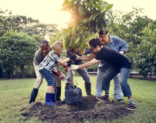 La gente planta un árbol —  Fotos de Stock