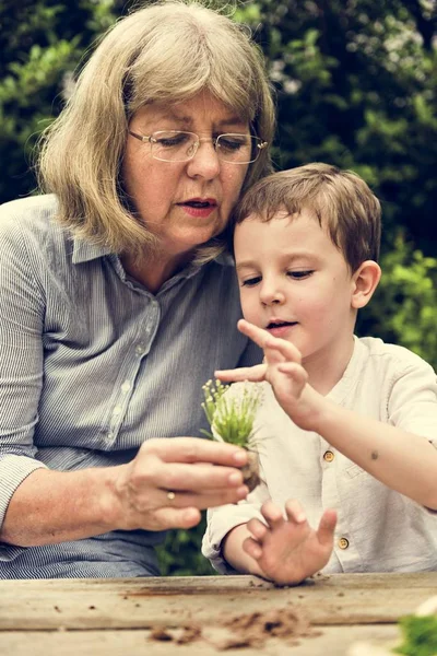 Бабушка и внук сажают в саду — стоковое фото