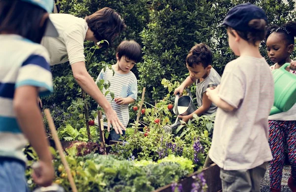 Učitel a děti školní vzdělávání ekologie zahradnictví — Stock fotografie