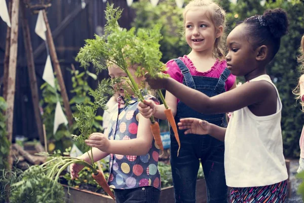 Anak-anak Memegang Sayuran — Stok Foto