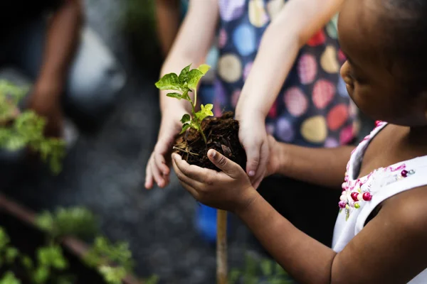 Barn kommer att plantera ett träd — Stockfoto