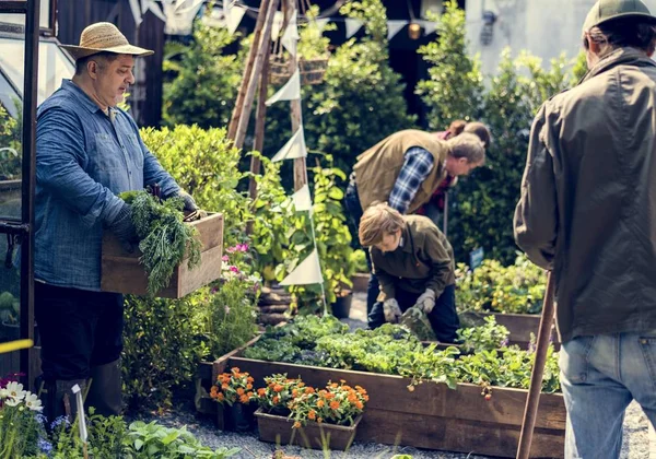 Personas plantando verduras — Foto de Stock