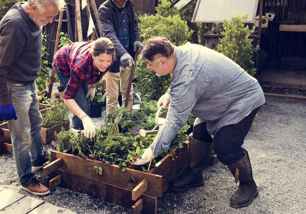 Persone giardinaggio sul cortile insieme — Foto Stock