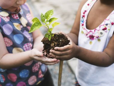 Bir ağaç dikmek için Chilren gidiyor