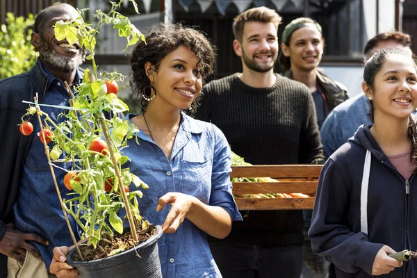 Menschen, die gemeinsam im Hinterhof gärtnern — Stockfoto