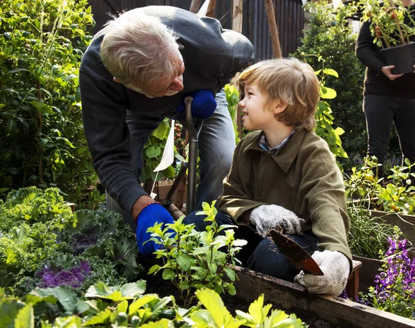 Ayah dan anak berkebun transplantasi — Stok Foto