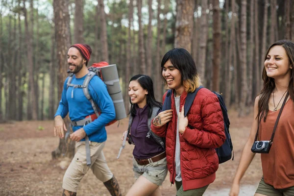 Turistas con mochilas en el bosque —  Fotos de Stock