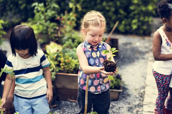 Kinder im Garten erleben die Natur — Stockfoto