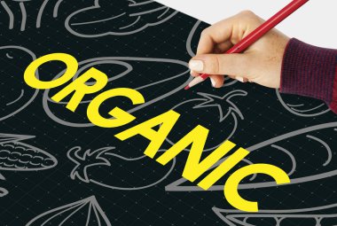 kişi kalem ile metin yazma