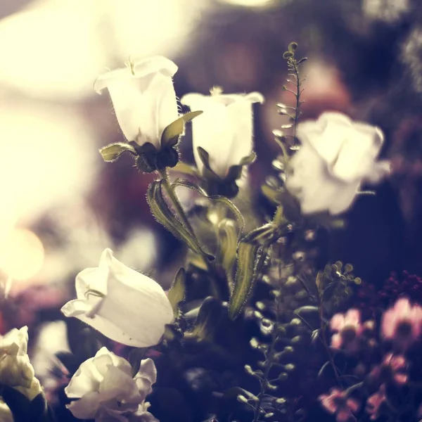 Belo buquê de primavera — Fotografia de Stock