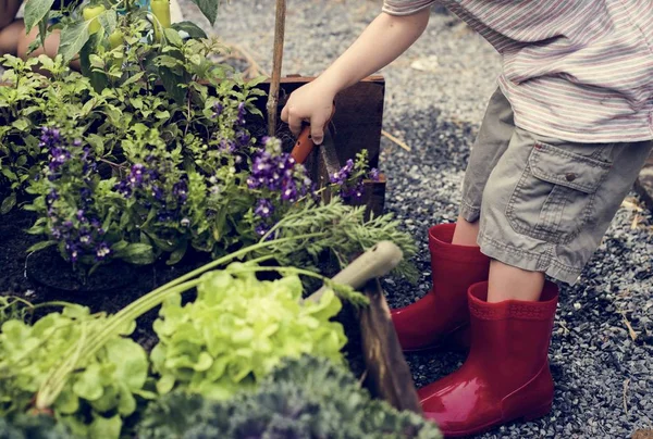 Ragazzo che lavora in un giardino — Foto Stock