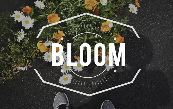 Person fötter stående nära blommor — Stockfoto