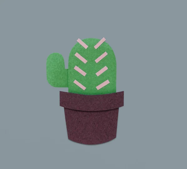 Liten kaktus i kruka — Stockfoto