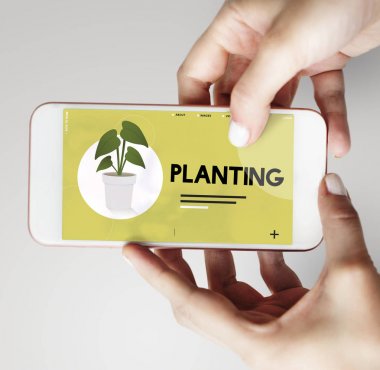 Akıllı telefon kullanan kadın