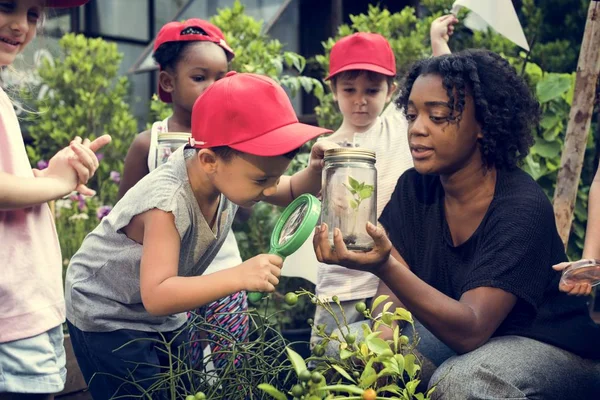 Profesor y niños aprendizaje escolar ecología jardinería —  Fotos de Stock