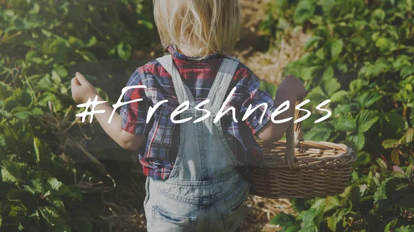 Çocuk kot hasır sepet ile genel