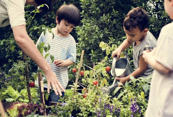 Profesor y niños aprendizaje escolar ecología jardinería — Foto de Stock