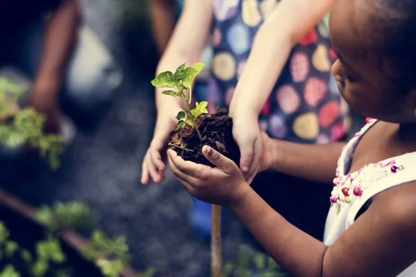 Kinder werden einen Baum pflanzen — Stockfoto