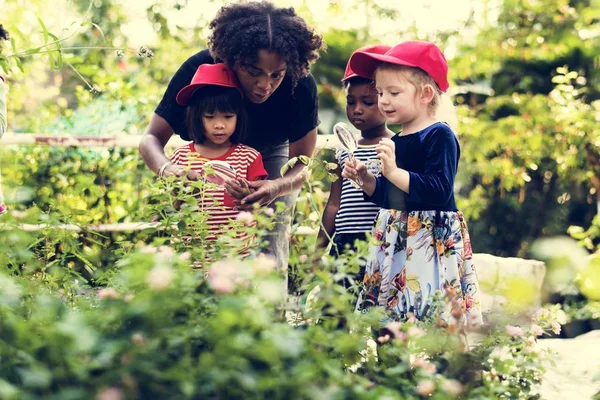 Profesor y niños aprendizaje escolar ecología jardinería — Foto de Stock
