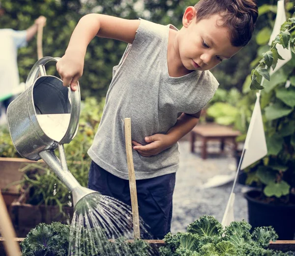Boy Watering Vegetables — Stok Foto